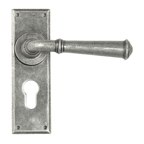 REGENCY LEVER HANDLE ON BACKPLATE