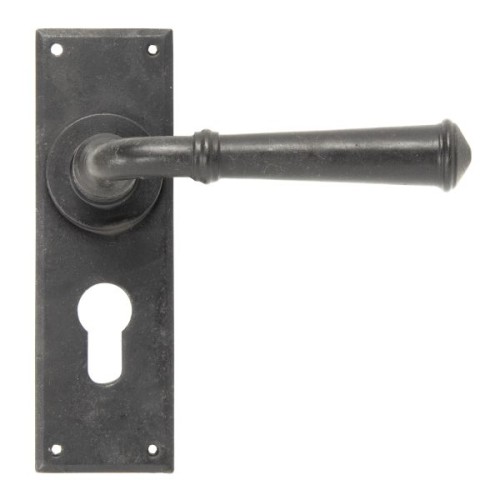 REGENCY LEVER HANDLE ON BACKPLATE