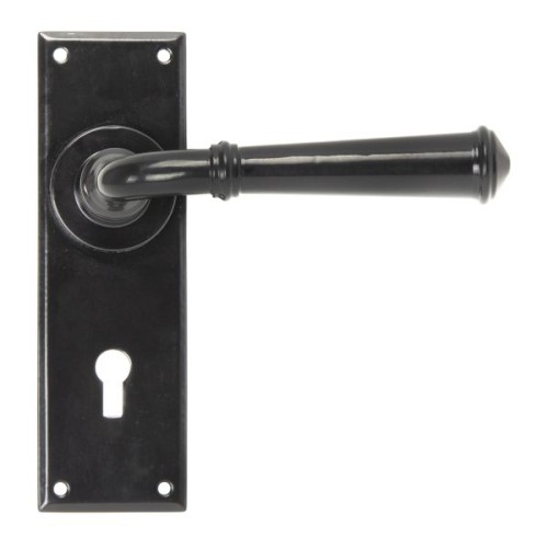 REGENCY LEVER HANDLE ON BACKPLATE