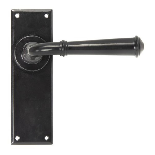 REGENCY LEVER HANDLE ON BACKPLATE