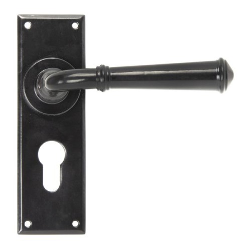 REGENCY LEVER HANDLE ON BACKPLATE