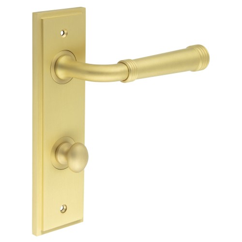 HIGHGATE LEVER HANDLE ON BACKPLATE