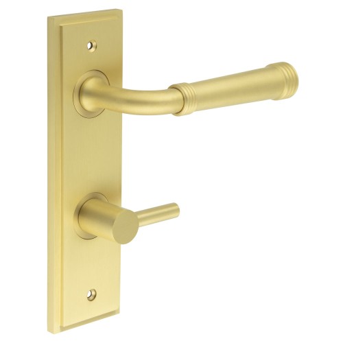 HIGHGATE LEVER HANDLE ON BACKPLATE