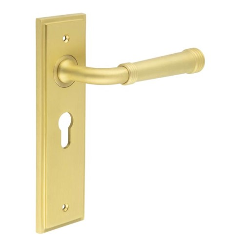 HIGHGATE LEVER HANDLE ON BACKPLATE