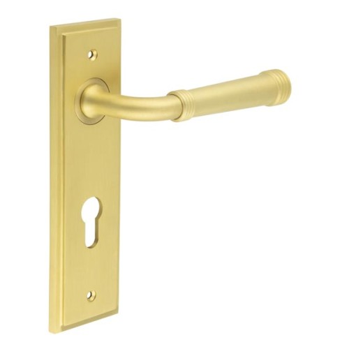 HIGHGATE LEVER HANDLE ON BACKPLATE