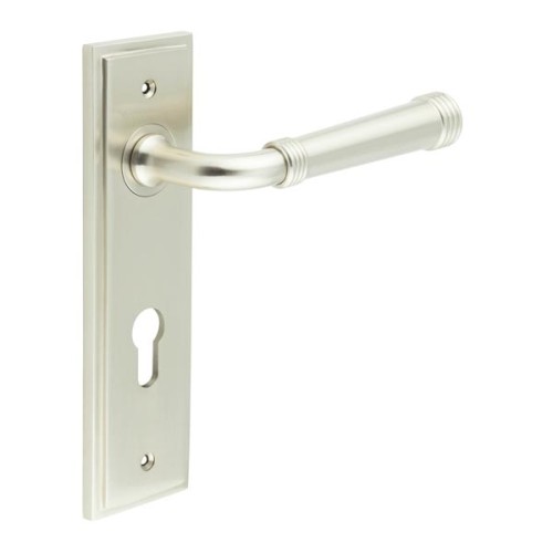 HIGHGATE LEVER HANDLE ON BACKPLATE