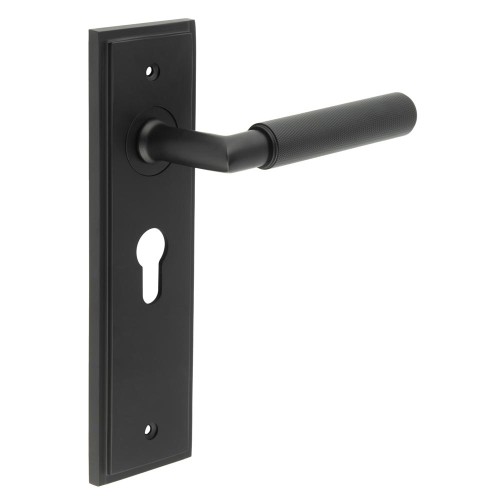 PICCADILLY LEVER HANDLE ON BACKPLATE