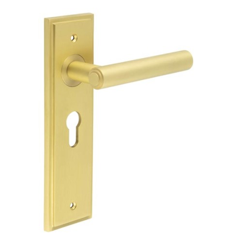 RICHMOND LEVER HANDLE ON BACKPLATE