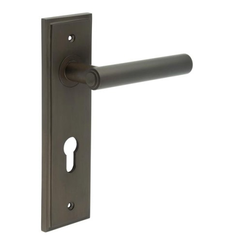 RICHMOND LEVER HANDLE ON BACKPLATE